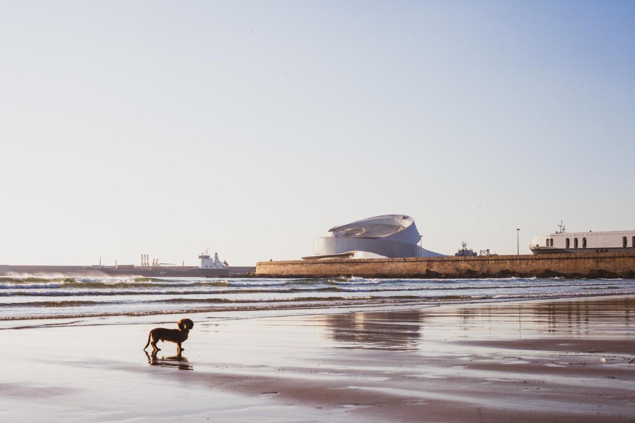 Oceanside Matosinhos - Ecohost Lägenhet Exteriör bild